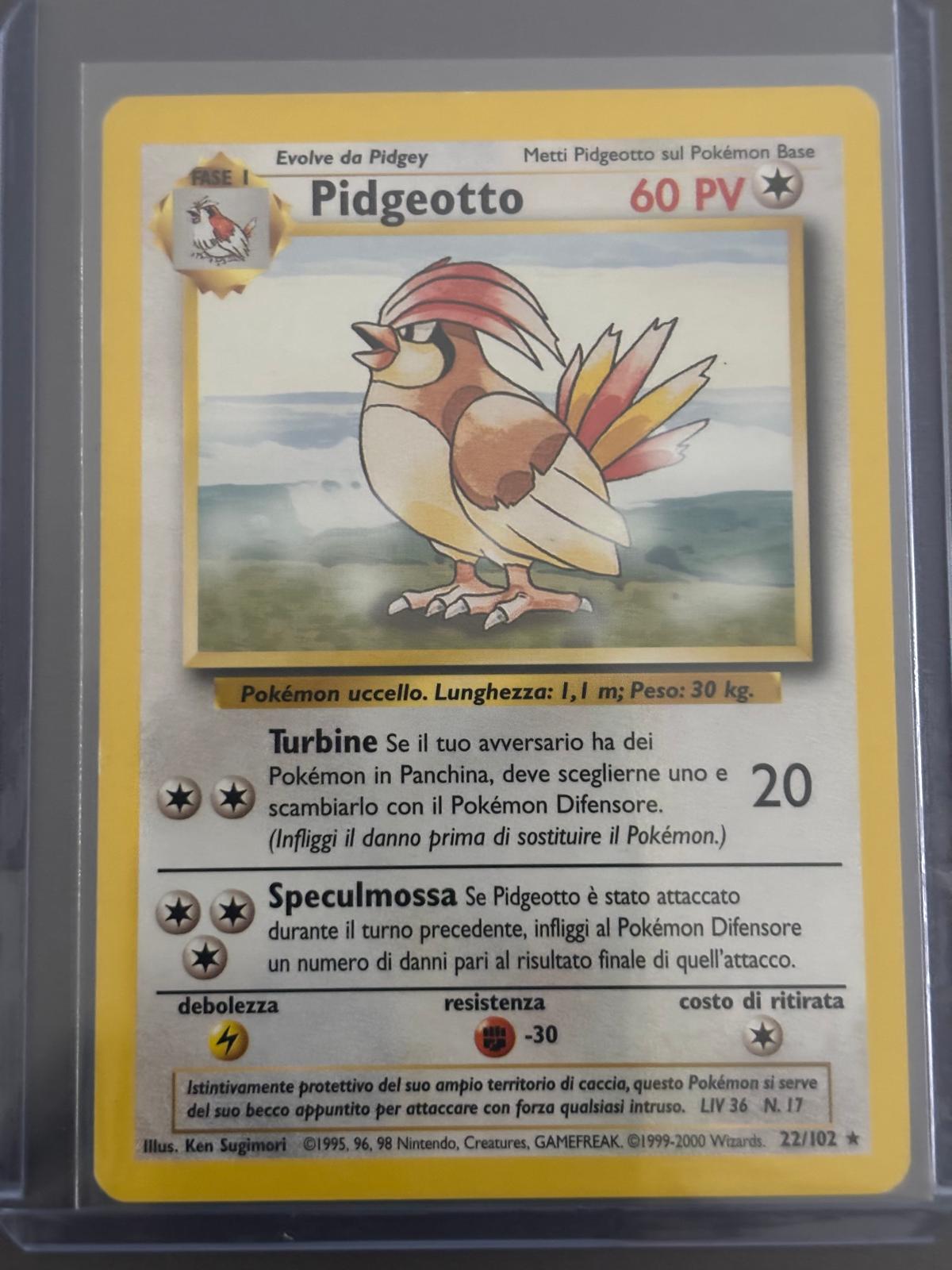 Pidgeotto