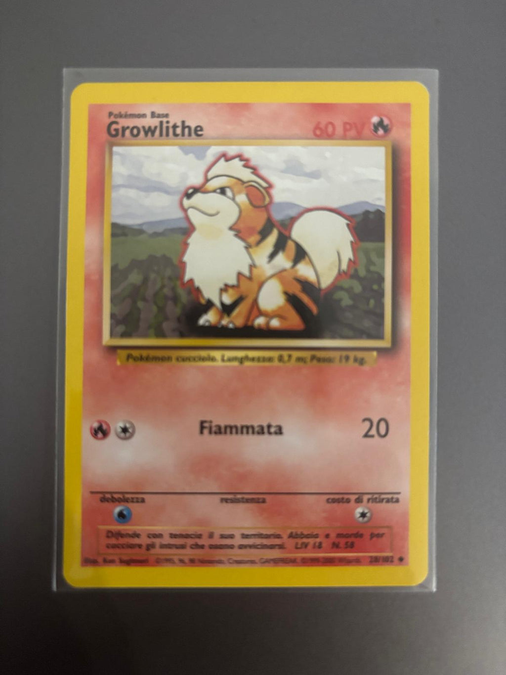 Growlithe