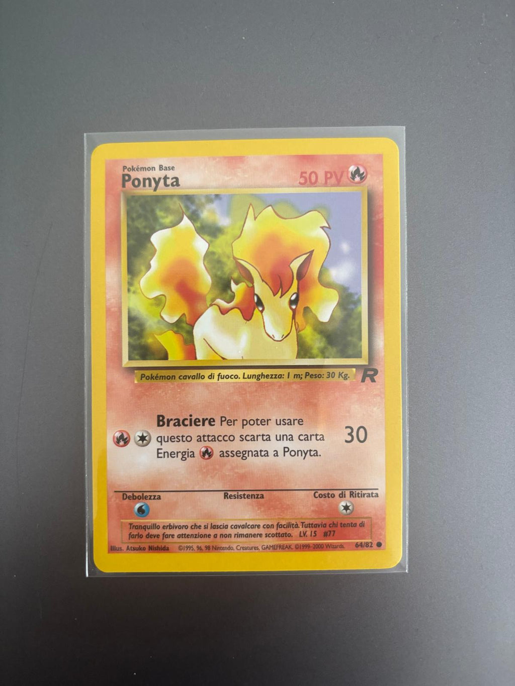 Ponyta