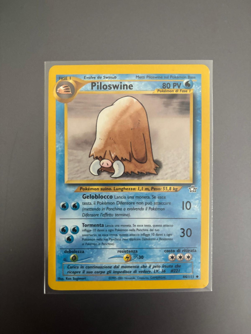 Piloswine