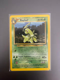 Bayleef