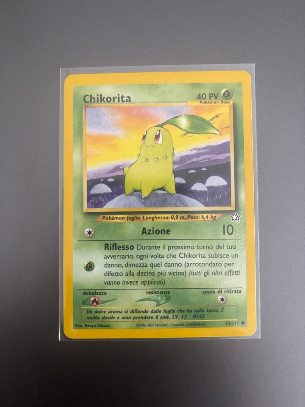 Chikorita